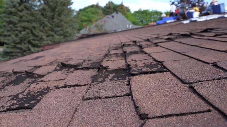 Best Green or Eco-Friendly Roofing Solutions  in Jamestown, TN